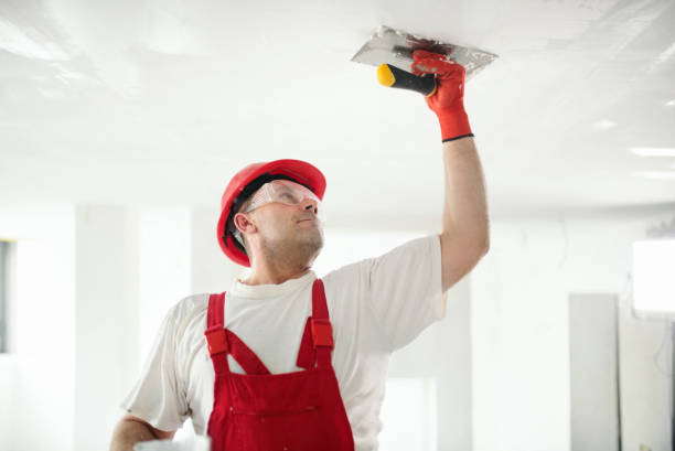 Trusted Huntley, IL Dry wall and painting Experts